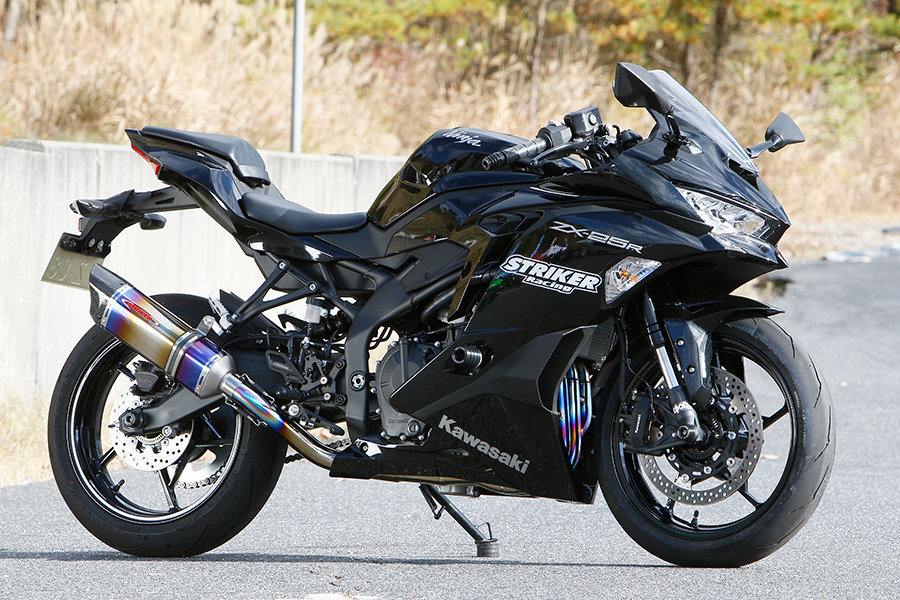 ストライカーNinja ZX-25R（カワサキNinja ZX-25R） | ヘリテイジ 